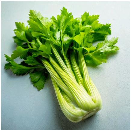 Celery Natural flavour Oilsoluble